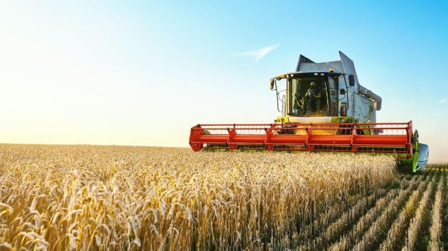 ‘Rekor kıran tarımsal girdi enflasyonu artmaya devam edecek’